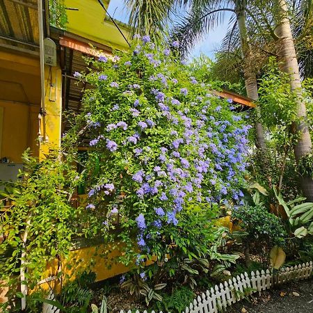 Suantung Coffee & Guesthouse 清莱 外观 照片